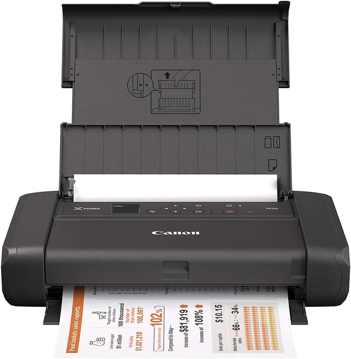 Canon PIXMA TR150 Review: The Best Portable Printer for Mobile Workers? product image